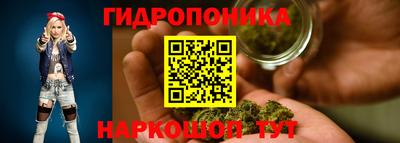 мет Бийск