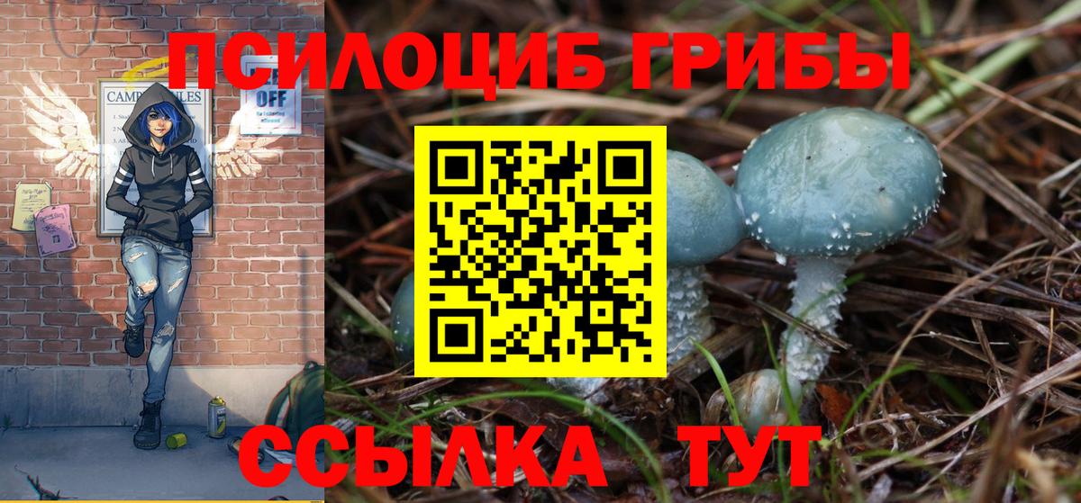 Галлюциногенные грибы Magic Shrooms Калуга