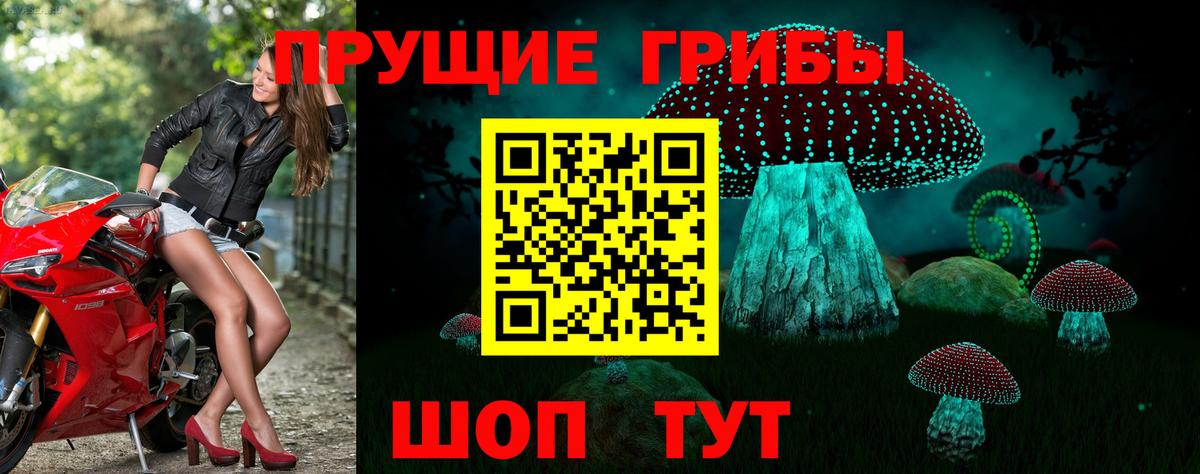Псилоцибиновые грибы прущие грибы  Вход с VPN  Калуга 